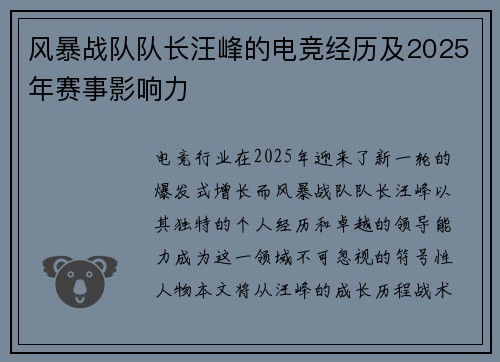 风暴战队队长汪峰的电竞经历及2025年赛事影响力
