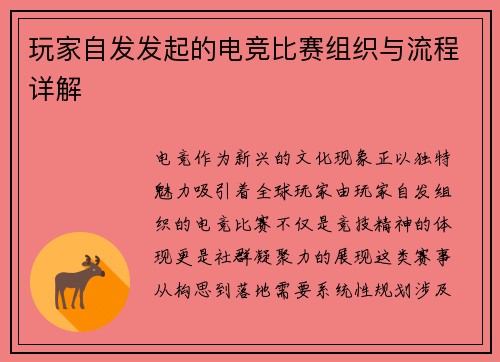 玩家自发发起的电竞比赛组织与流程详解
